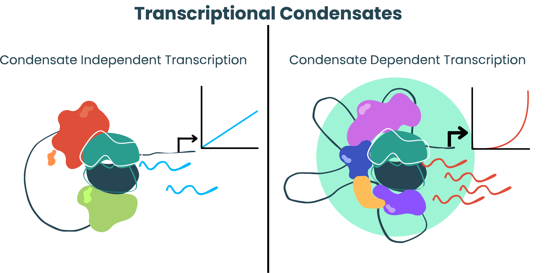 Description of image